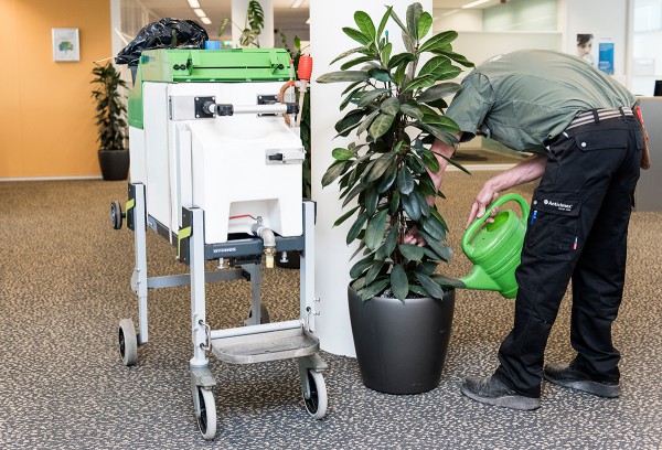 plantscaping-4 modellen